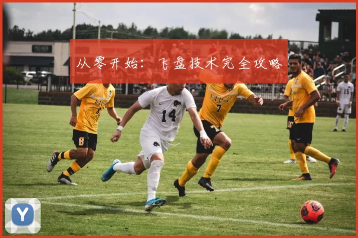 从零开始：飞盘技术完全攻略