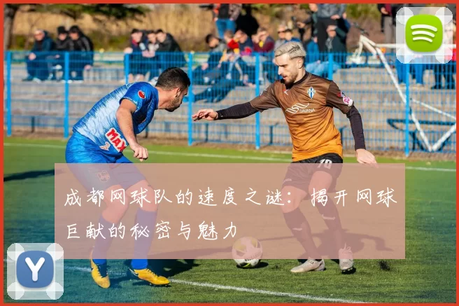 成都网球队的速度之谜：揭开网球巨献的秘密与魅力